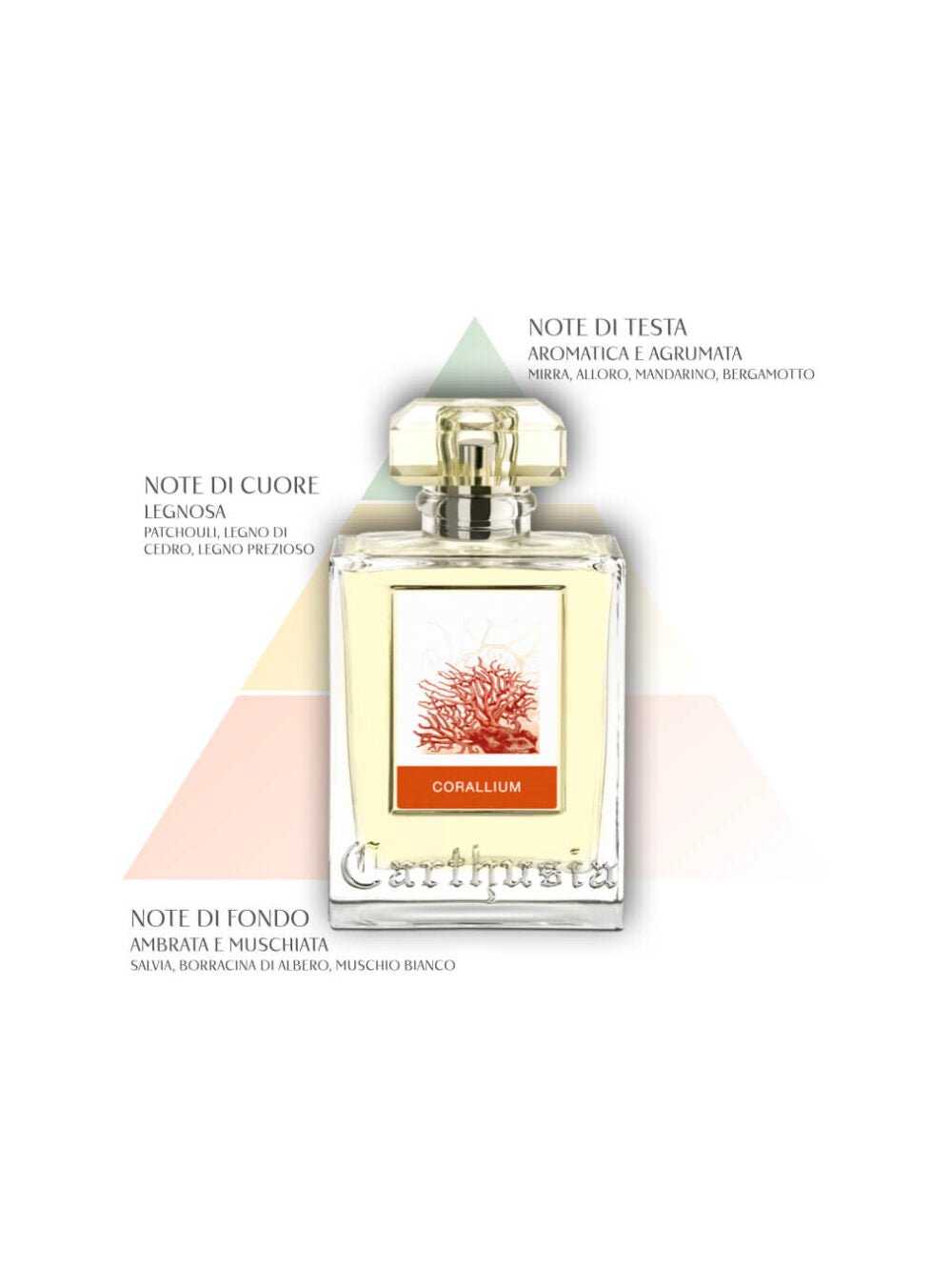 Carthusia Corallium Eau de Parfum Donna 100ml – Floreale Marina Muschiata